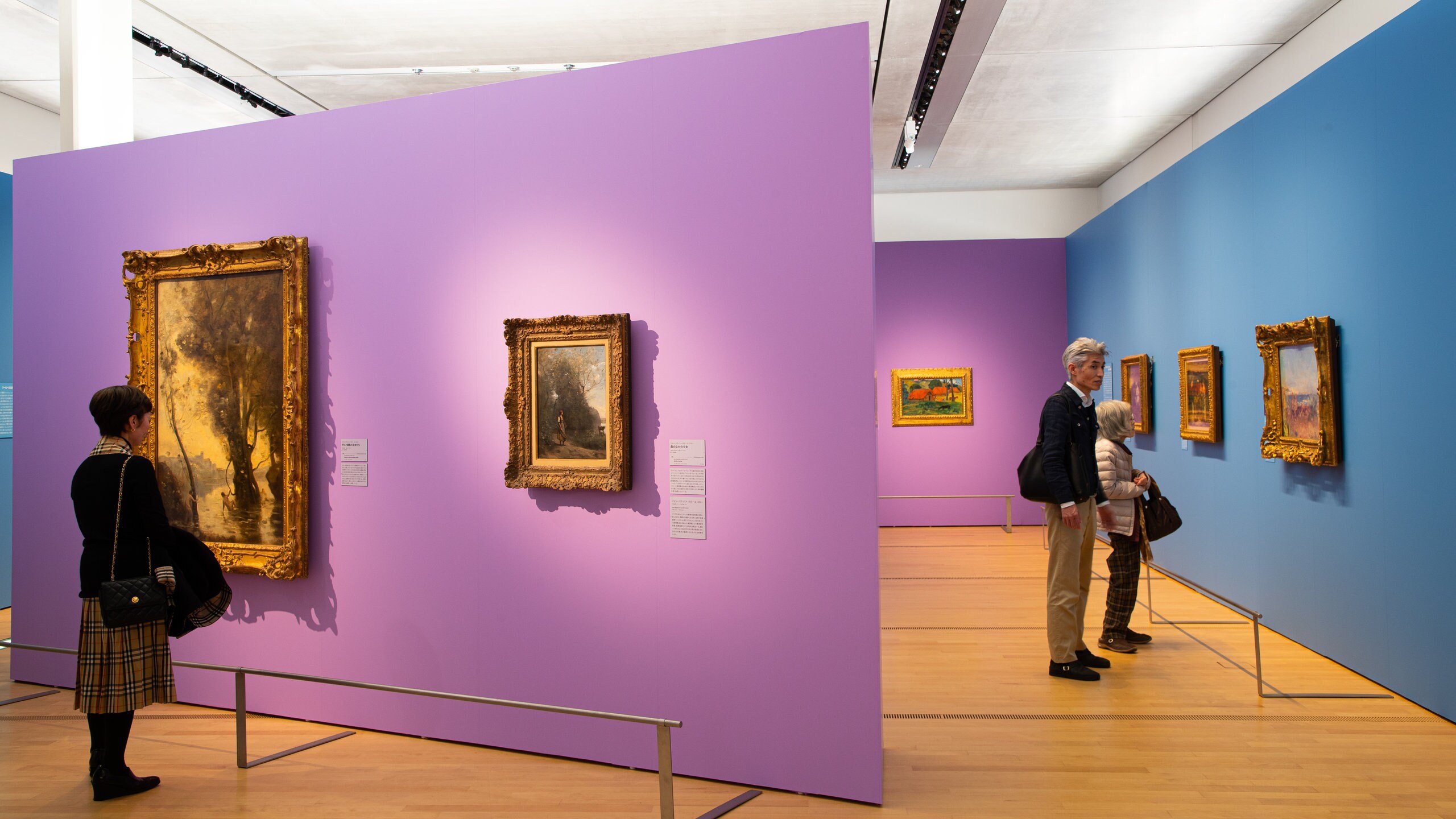 🏛️ 우라와 생활 박물관 민가원(우라와쿠라시노하쿠부츠칸민카엔) 이미지 1